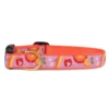 Up Country Spritz Dog Collar 2 Up Country Spritz Dog Collar -Mutts And Co-us UpCountrySpritzDogCollar