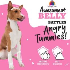 Weruva Awesome Functions Belly Beef & Rice Canned Dog Food -Mutts And Co-us WeruvaAwesomeFunctionsBellyBeef RiceCannedDogFood3