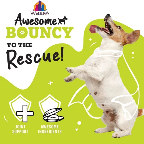 Weruva Awesome Functions Bouncy Chicken, Riceberry & Veggies Canned Dog Food 5 Weruva Awesome Functions Bouncy Chicken, Riceberry & Veggies Canned Dog Food - Image 3