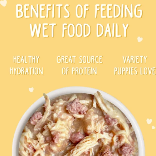 Weruva Puppy Chicken Formula Canned Dog Food 5 Weruva Puppy Chicken Formula Canned Dog Food - Image 3