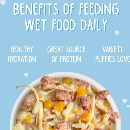 Weruva Puppy Chicken & Rice Formula Canned Dog Food 4 Weruva Puppy Chicken & Rice Formula Canned Dog Food - Image 2