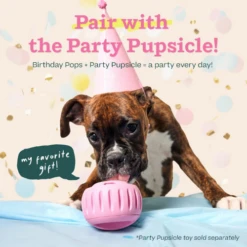 Woof Pet Birthday Pupsicle Pops Refills Dog Treat 11 Woof Pet Birthday Pupsicle Pops Refills Dog Treat -Mutts And Co-us WoofPetBirthdayPupsiclePopsRefillsDogTreat