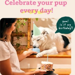 Woof Pet Pupsicle Birthday Buddy Blue Dog Toy 15 Woof Pet Pupsicle Birthday Buddy Blue Dog Toy -Mutts And Co-us WoofPetPupsicleBirthdayBuddyBlueDogToy5