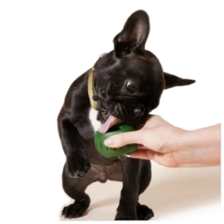 Woof Pet Pupsicle Treat Tray 10 Woof Pet Pupsicle Treat Tray -Mutts And Co-us WoofPetPupsicleTreatTray 1