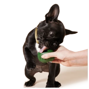 Woof Pet Pupsicle Treat Tray 6 Woof Pet Pupsicle Treat Tray - Image 4