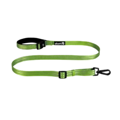 Alcott Weekender Leash Green