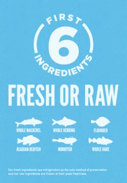 Orijen Six Fish Grain-Free Formula Dry Cat Food -Mutts And Co-us bbcat3