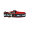 Up Country Best. Dog. Ever. Dog Collar