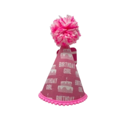 Pup Party Hats Birthday Girl Pink Ink Party Hat For Dogs And Cats