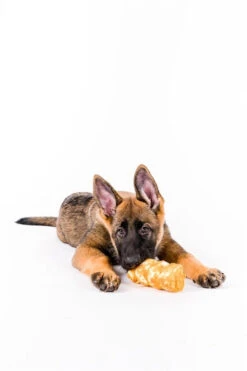 Boneanza Treat Co. Beef Cheek Roll Chicken Dog Treats -Mutts And Co-us chcicken5