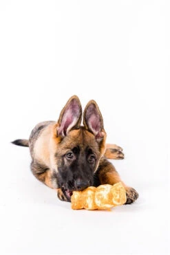 Boneanza Treat Co. Beef Cheek Roll Chicken Dog Treats -Mutts And Co-us chicken4