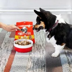 Stella & Chewy's Meal Mixers Chewy's Chicken Freeze-Dried Dog Food Topper -Mutts And Co-us chickkkk