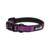 Alcott Adventure Collar Purple -Mutts And Co-us collarpurple