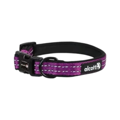 Alcott Adventure Collar Purple