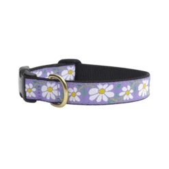 Up Country Daisy Dog Collar