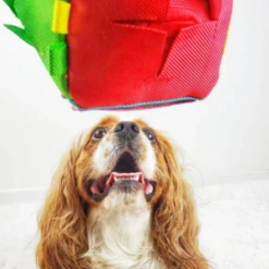 FoufouBRANDS Hide 'n Seek Cube Dog Puzzle Toy 21 FoufouBRANDS Hide 'n Seek Cube Dog Puzzle Toy -Mutts And Co-us foufouBRANDSHide nSeekCubeDogPuzzleToy 2