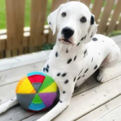 FoufouBRANDS Hide 'n Seek Disc Dog Puzzle Toy -Mutts And Co-us foufouBRANDSHide nSeekDiscDogPuzzleToy