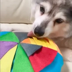 FoufouBRANDS Hide 'n Seek Disc Dog Puzzle Toy -Mutts And Co-us foufouBRANDSHide nSeekDiscDogPuzzleToy 1