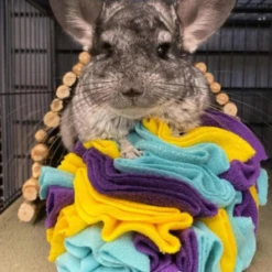 FoufouBRANDS Hide 'n Seek Snuffle Balls Dog Puzzle Toy 11 FoufouBRANDS Hide 'n Seek Snuffle Balls Dog Puzzle Toy -Mutts And Co-us foufouBRANDSHide nSeekSnuffleBallsDogPuzzleToy 2