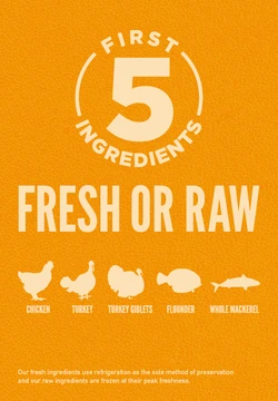 Orijen Puppy Grain-Free Dry Dog Food 6 Orijen Puppy Grain-Free Dry Dog Food - Image 4