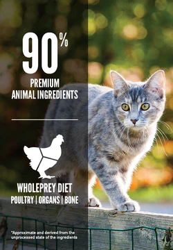 Orijen Original Cat Grain-Free Dry Cat Food 5 Orijen Original Cat Grain-Free Dry Cat Food - Image 3