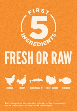 Orijen Original Cat Grain-Free Dry Cat Food 6 Orijen Original Cat Grain-Free Dry Cat Food - Image 4