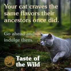 Taste Of The Wild Rocky Mountain Grain-Free Cat Food -Mutts And Co-us rocky5