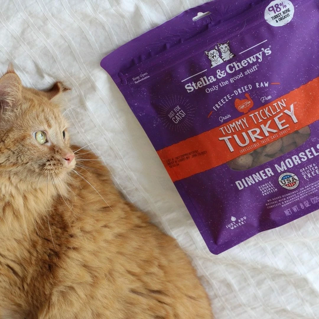 Stella & Chewy's Tummy Ticklin' Turkey Dinner Freeze-Dried Cat Food 6 Stella & Chewy's Tummy Ticklin' Turkey Dinner Freeze-Dried Cat Food - Image 4